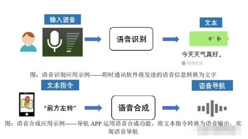 聲紋掘金 語(yǔ)音類基礎(chǔ)數(shù)據(jù)國(guó)內(nèi)第一的人工智能上游龍頭崛起之路